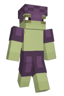 Polstoy Minecraft avatar full body