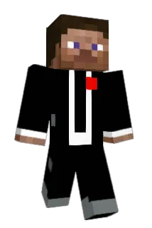 PolyCan Minecraft avatar full body