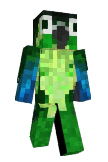 Polyboros Minecraft avatar full body