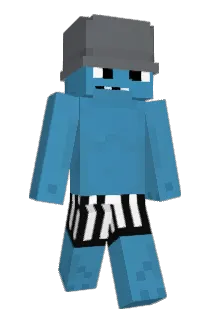 Polycotton Minecraft avatar full body