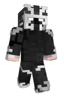 Polymorphism Minecraft avatar full body