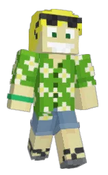 Custom render preview