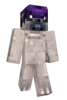 Pompadour_Pug Minecraft avatar full body