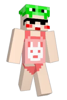 Pongky Minecraft avatar full body