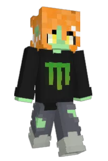 Ponnto Minecraft avatar full body