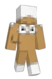 Poohot Minecraft avatar full body