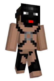 PoopPickle Minecraft avatar full body