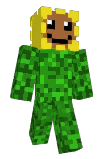 Pooul14 Minecraft avatar full body