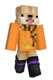 Popcat9 Minecraft avatar full body
