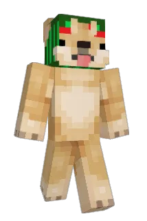 Popgianni Minecraft avatar full body