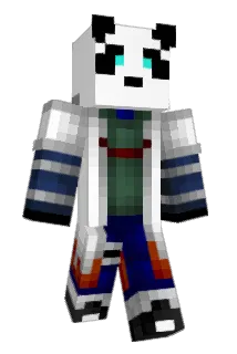 Poppaindahouse Minecraft avatar full body