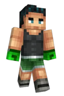 Pops333 Minecraft avatar full body