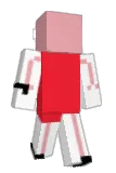 Porca Minecraft avatar full body