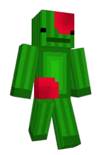 Pork_Cupine Minecraft avatar full body