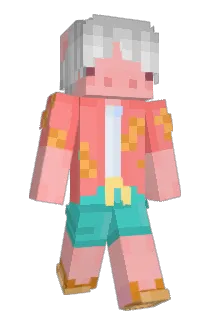 Porkicus Minecraft avatar full body