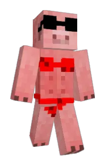 Porkinhaaa Minecraft avatar full body
