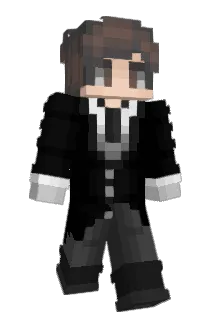Porocket Minecraft avatar full body
