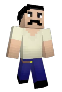 PorsasS1 Minecraft avatar full body