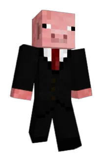 Portodora Minecraft avatar full body