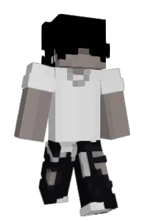 Positivists Minecraft avatar full body