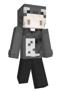 Possibly Minecraft avatar full body