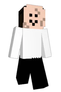 Pot3i Minecraft avatar full body