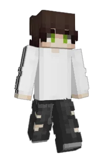 Pottone Minecraft avatar full body