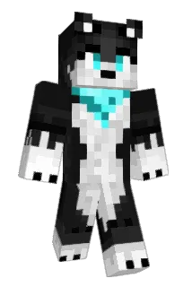Pouchok Minecraft avatar full body