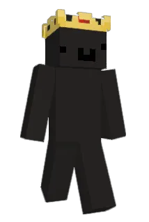 Pouere Minecraft avatar full body