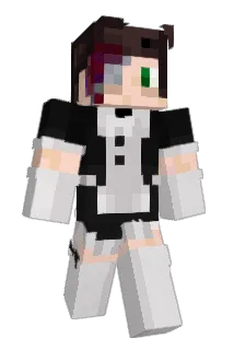 Minecraft-Avatar von PoultryBird: ganzer Körper