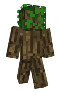 Povelon4ik Minecraft avatar full body