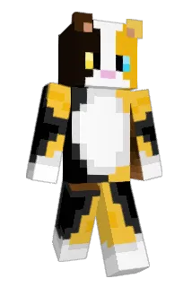 PovertyCat Minecraft avatar full body