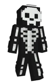 Pphol Minecraft avatar full body
