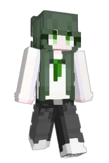 Ppibick Minecraft avatar full body
