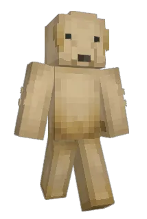 Ppoanch Minecraft avatar full body