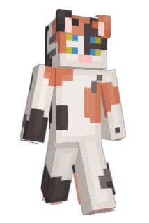 Pponcho_ Minecraft avatar full body