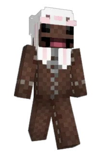 Pr3dator1213 Minecraft avatar full body