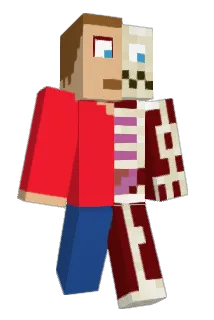 PragmaticPotato Minecraft avatar full body