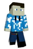 Precel13 Minecraft avatar full body