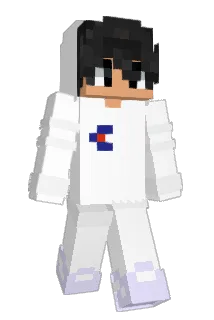 Preceleeq Minecraft avatar full body