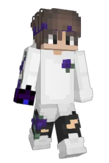 Pregui Minecraft avatar full body