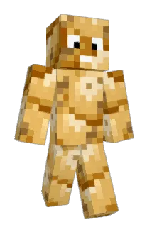 Presidents Minecraft avatar full body