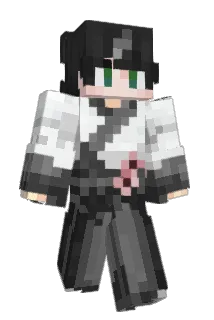 Prezerved Minecraft avatar full body