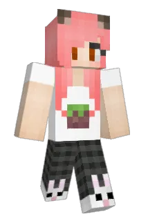 Pricat Minecraft avatar full body