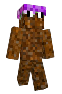 Price1610 Minecraft avatar full body