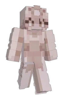 Princesplatthen Minecraft avatar full body