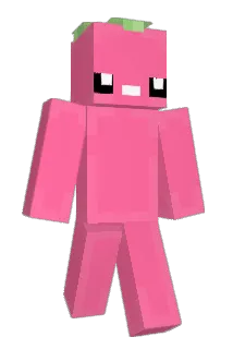 PrincessAppa Minecraft avatar full body