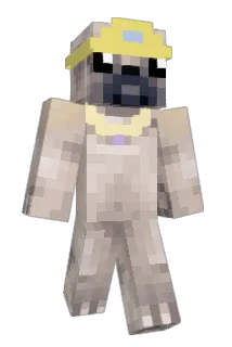 PrincessPuggle Minecraft avatar full body