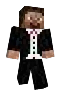 Pro29 Minecraft avatar full body