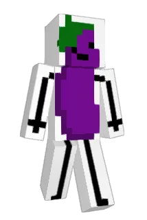 Pro313 Minecraft avatar full body